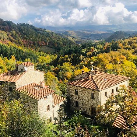 Bio Agriturismo Il Vigno Caprese Michelangelo Extérieur photo