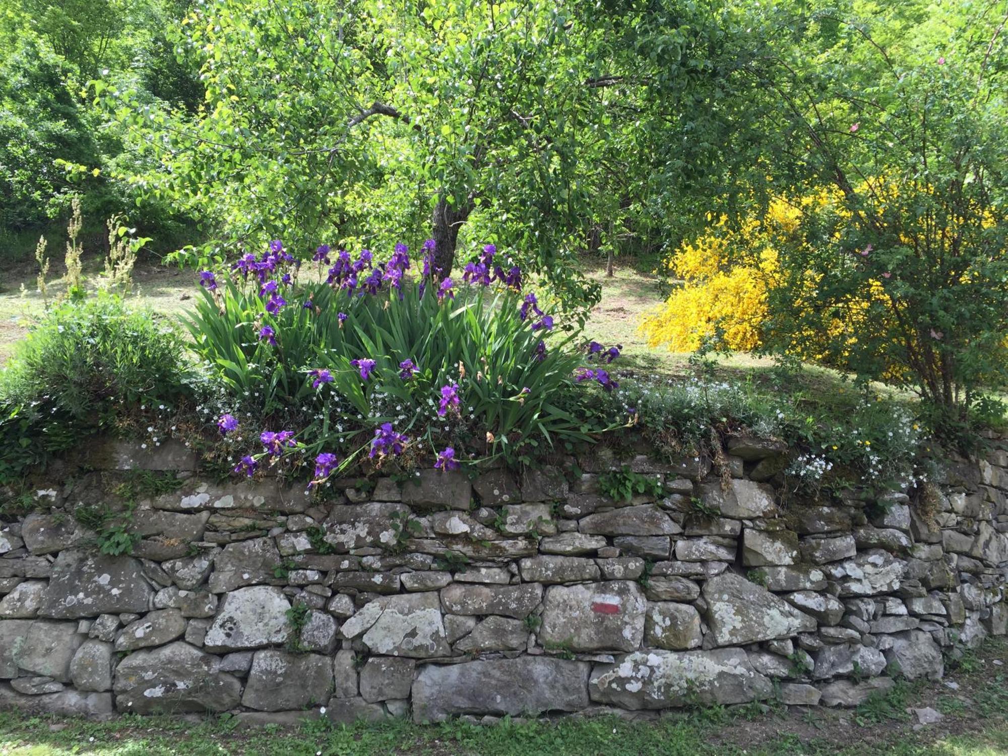 Bio Agriturismo Il Vigno Caprese Michelangelo Extérieur photo
