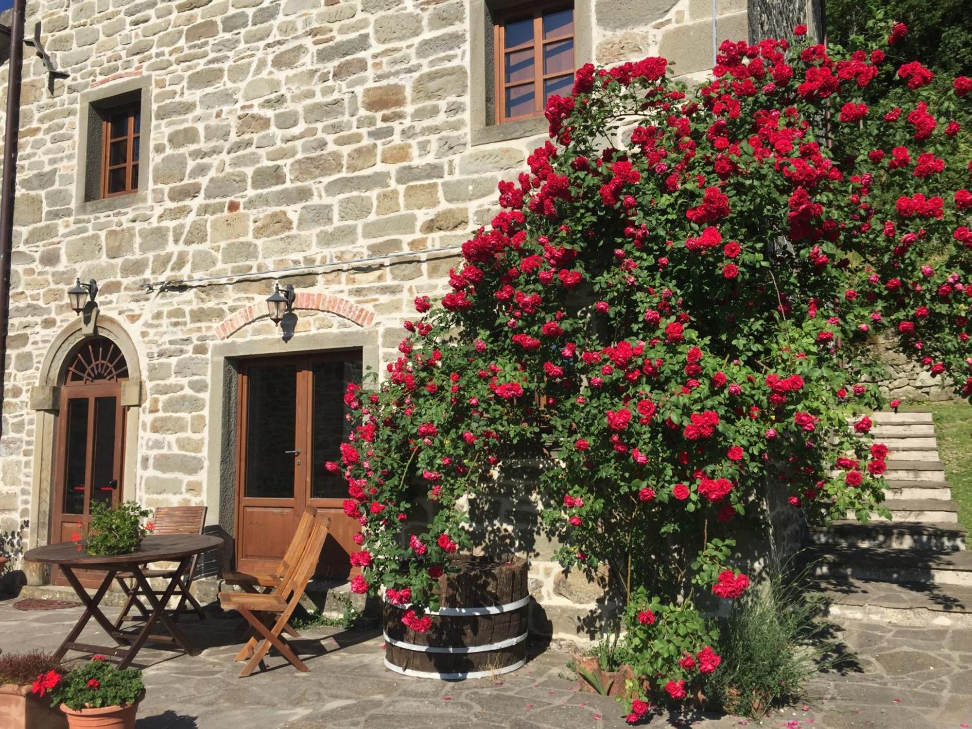 Bio Agriturismo Il Vigno Caprese Michelangelo Extérieur photo