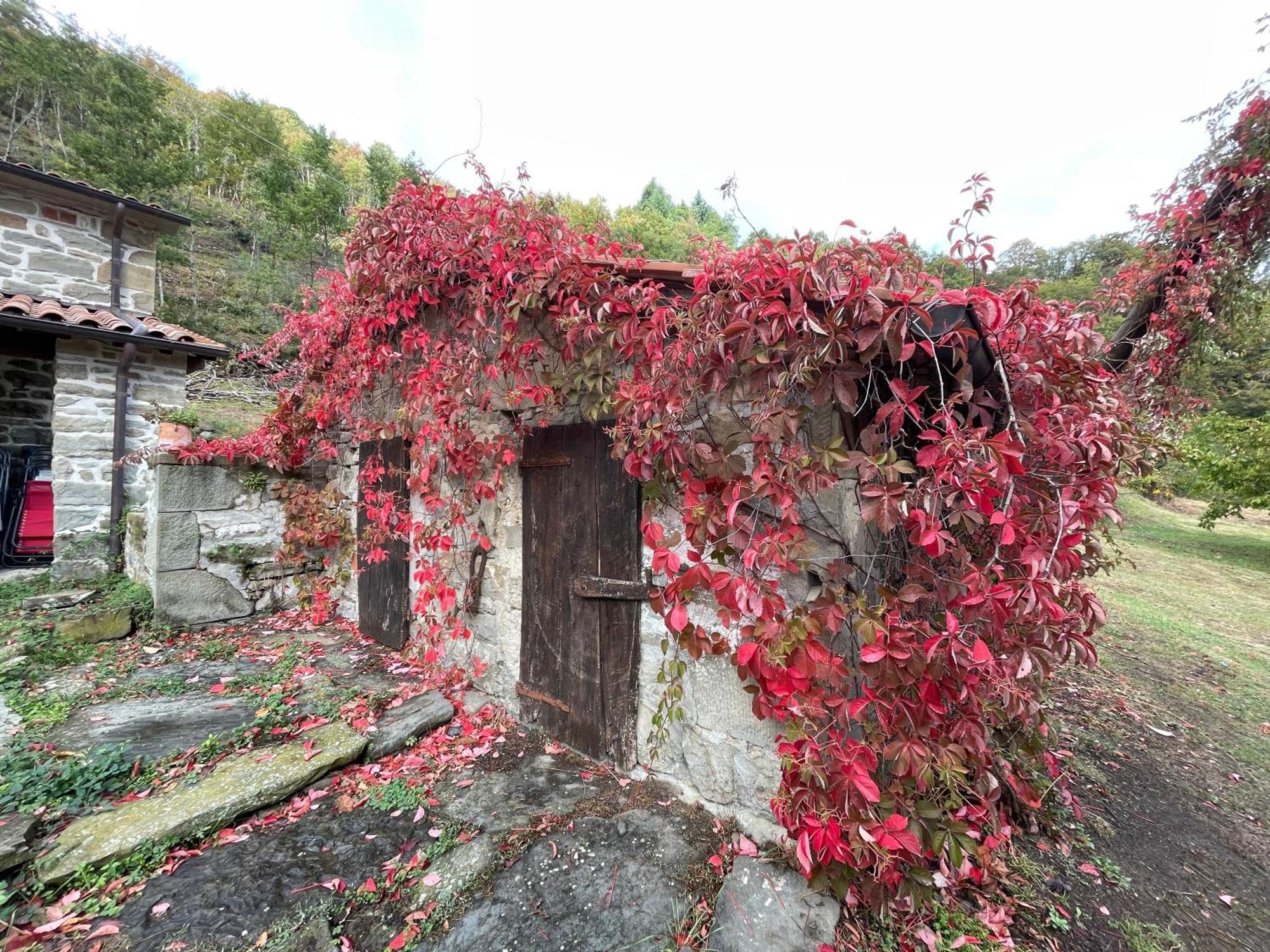 Bio Agriturismo Il Vigno Caprese Michelangelo Extérieur photo
